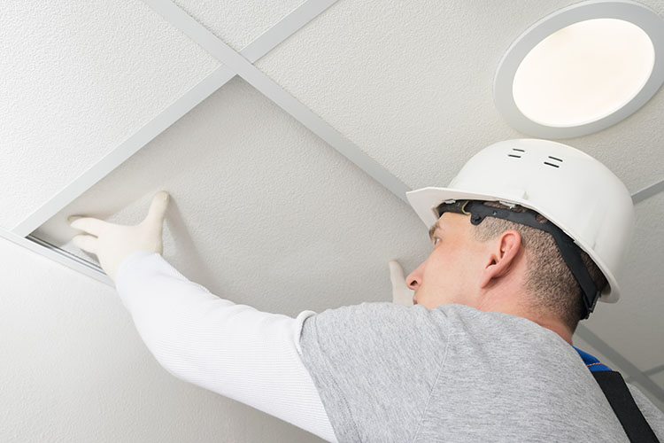 Construction faux plafond Martinique